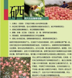 富硒健康禮，聚匯網(wǎng)上選——煙臺人的品質(zhì)生活新標(biāo)桿